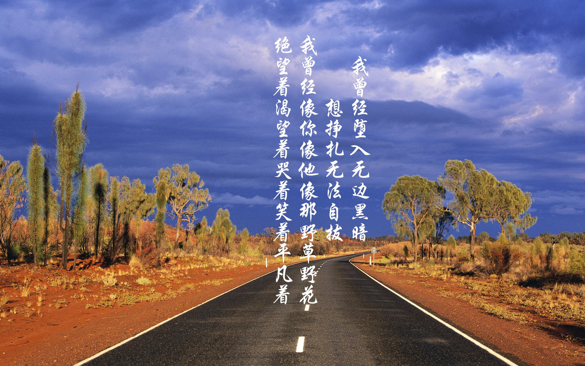 _森林狼追梦季后赛，士气高昂_，森林狼队比赛