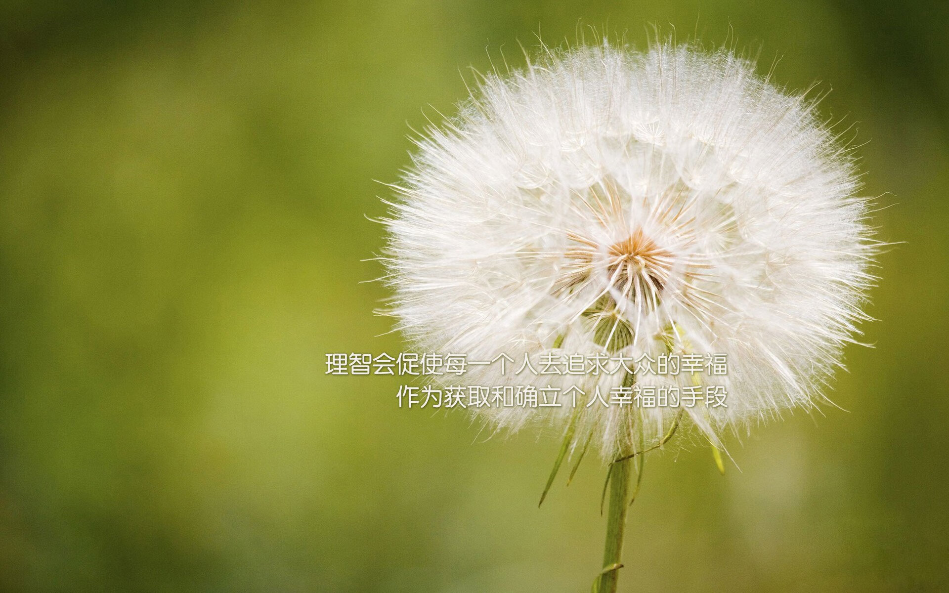《电竞界的“金牌搭档”：合作背后的故事》，电竞与品牌合作