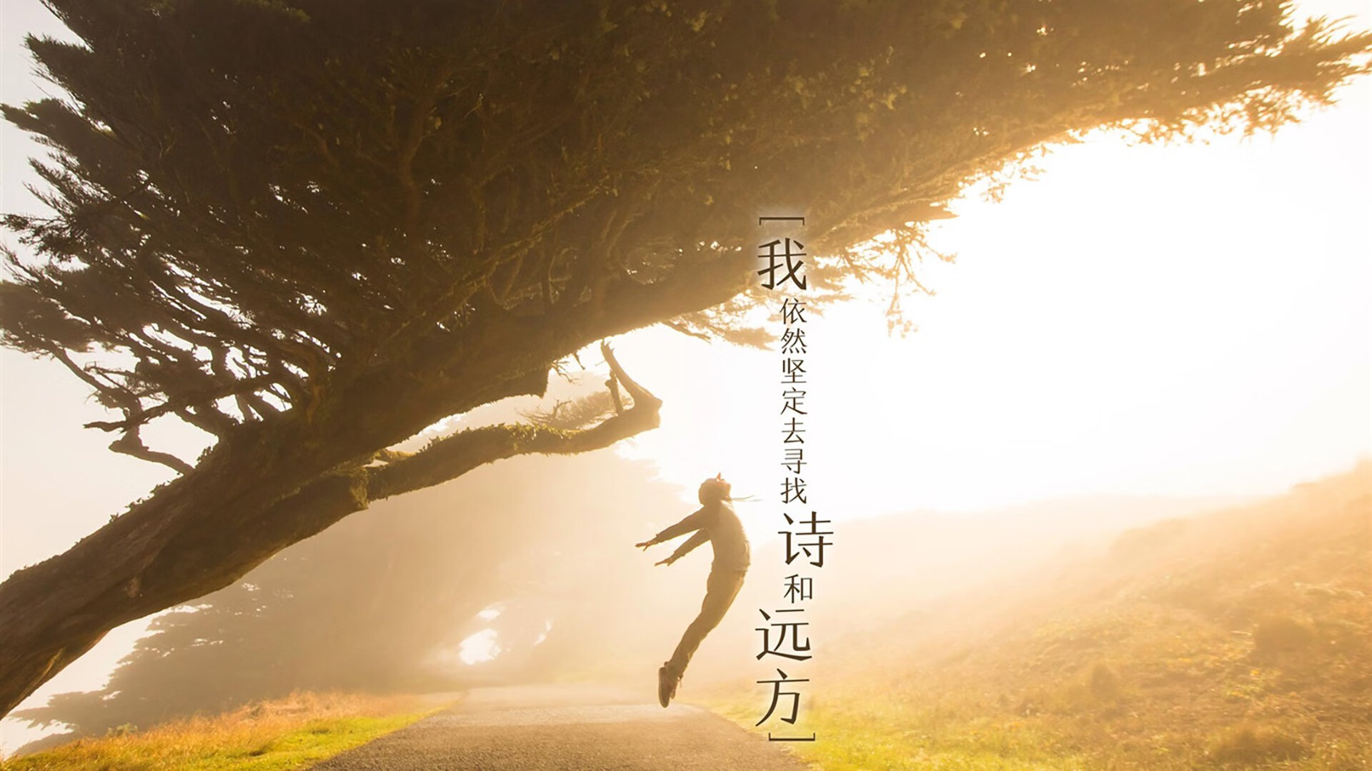 传奇教练的“战术秘籍”：从战术到心态的完美结合，教练传奇百科