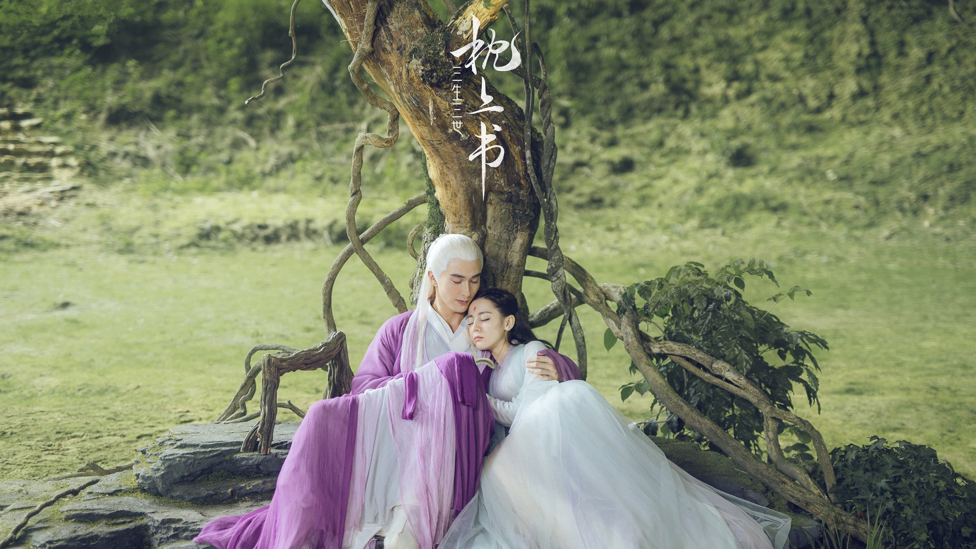 团队合作：战术和执行力的完美结合，团队合作指的是什么