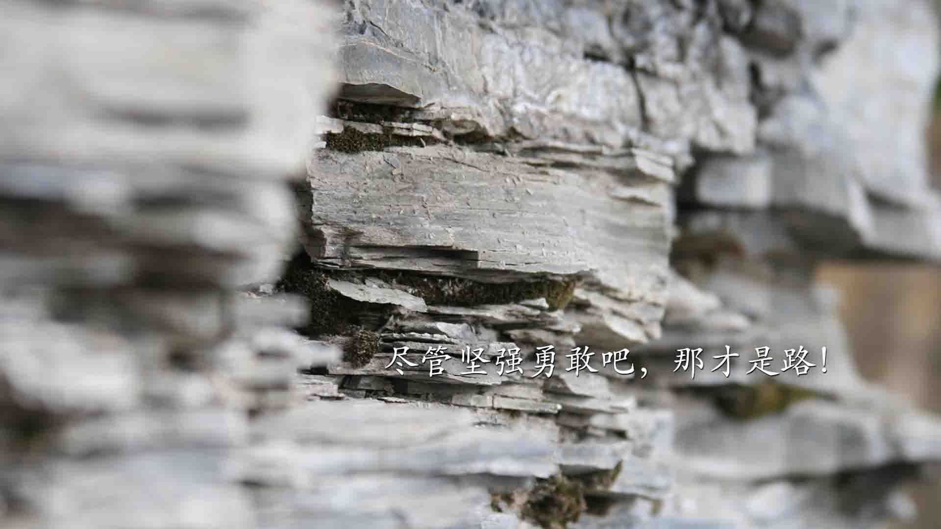 青少年足球比赛“走出校园”，激发全民参与热情，青少年足球比赛方案