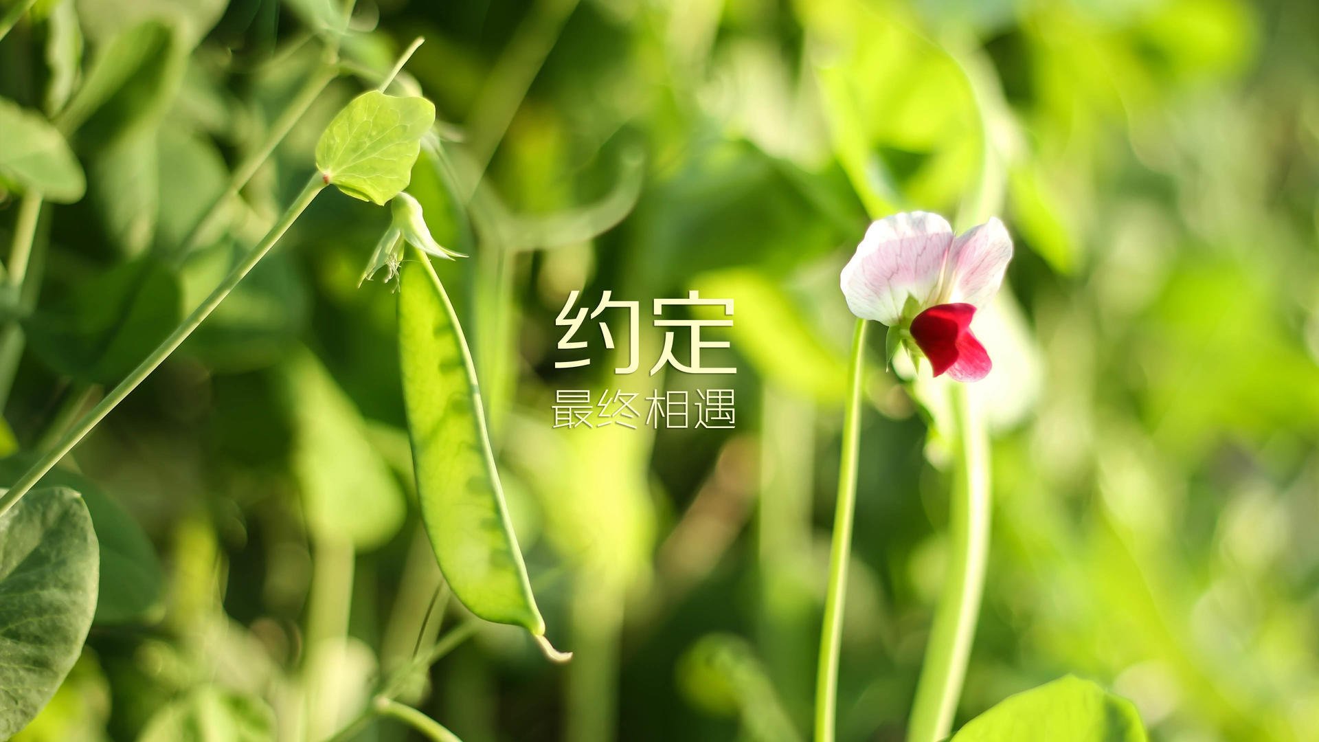 青少年裁判员“线上+实战”双轨培训体系在行业中全面展开，裁判证培训