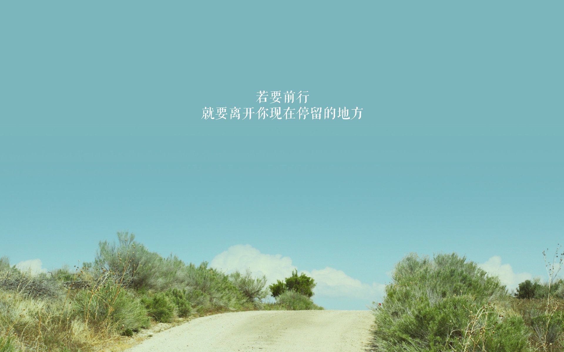 德国马术协会与亚洲马术协会建立合作关系，推动区域发展。，德国选手马术比赛