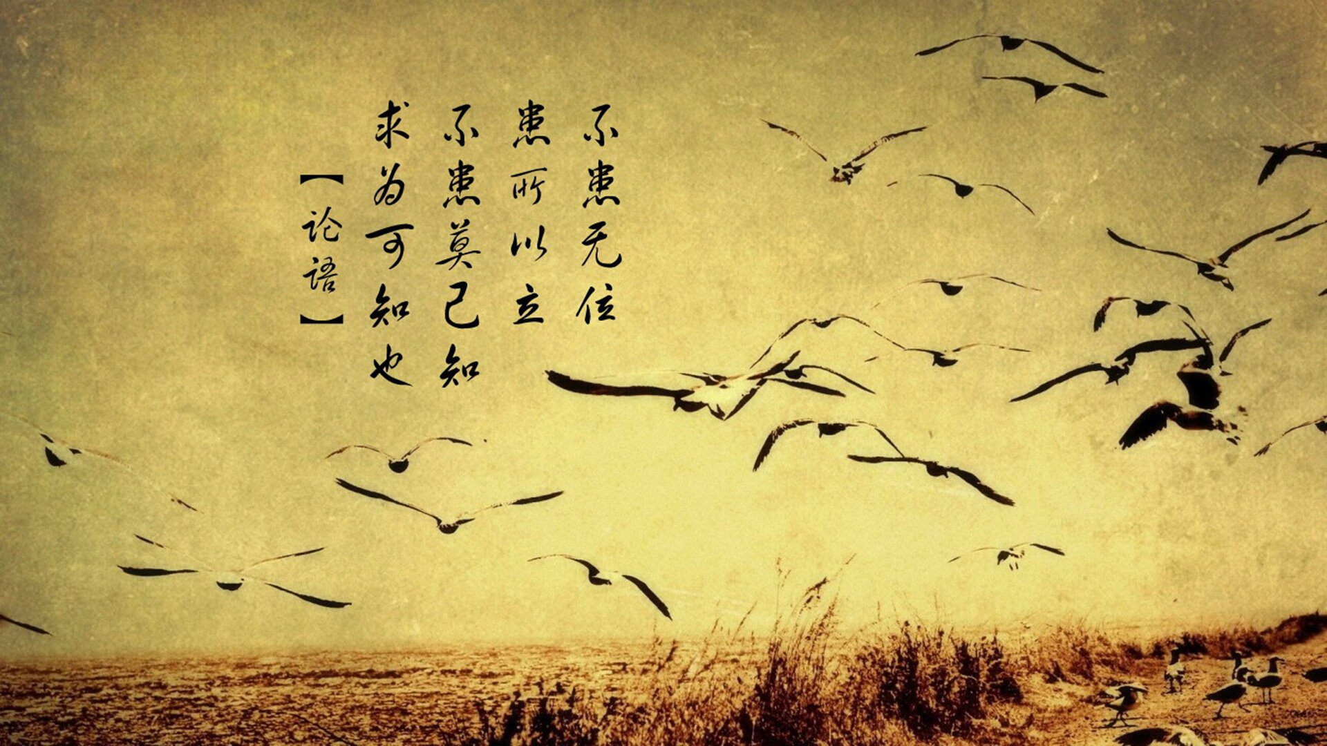 都灵前锋独中二元，带领球队取得胜利，都灵队现任主教练