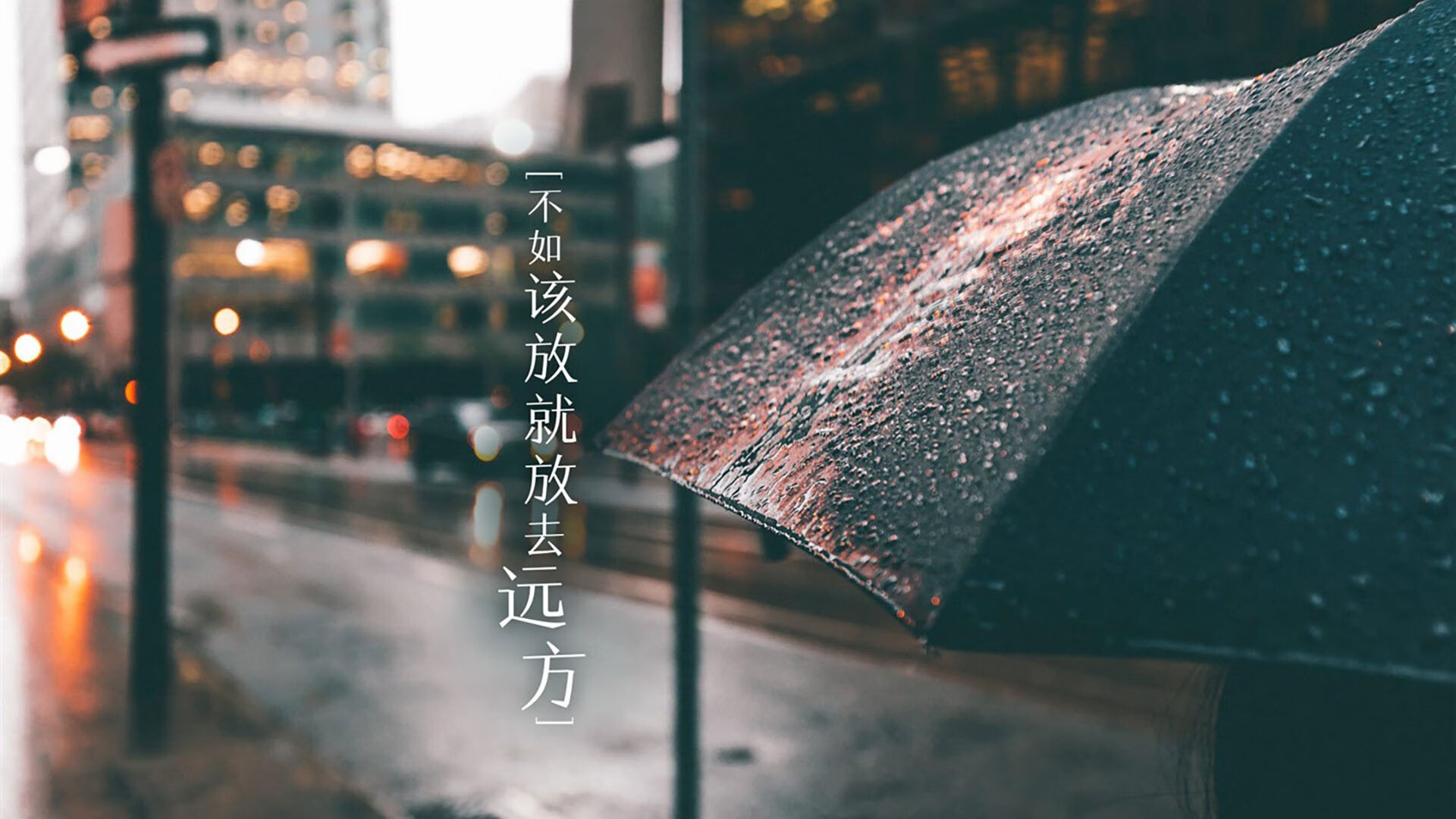 高校体育科研成果转化率调查分析，体育转项目申请