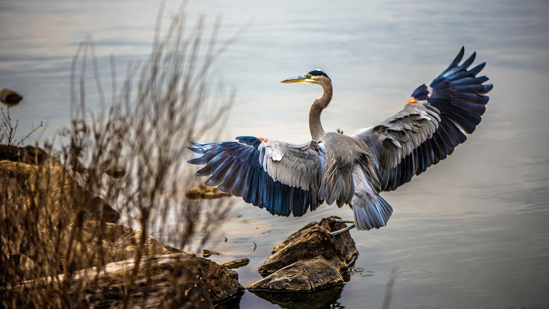 中超联赛中国队晋级 球迷齐声欢呼，中超足球联赛
