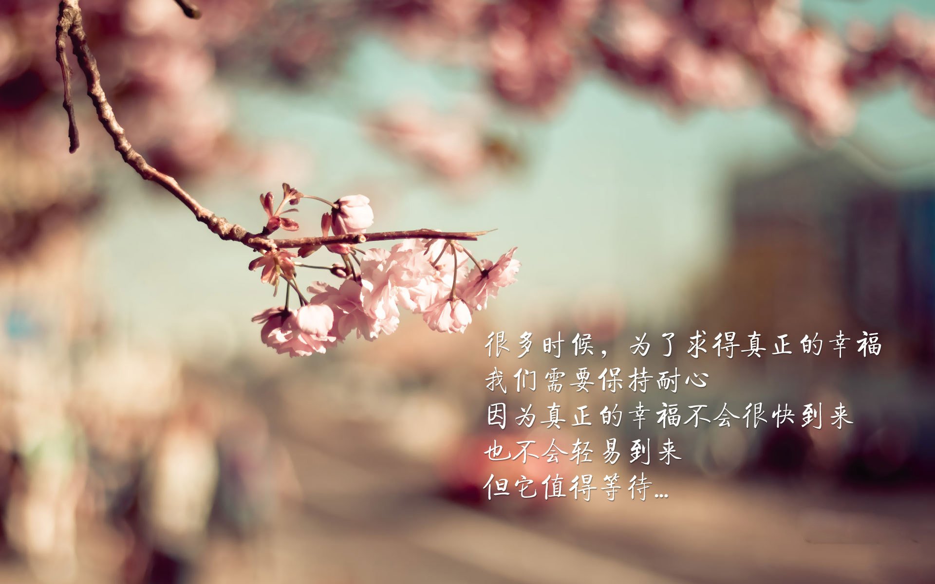 CBA季前赛火热开打新援表现亮眼引发球迷高度期待，cba季前赛什么时间开打