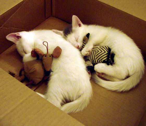 西甲超级火拼：精彩突破、精彩得分！，西甲超级杯2021