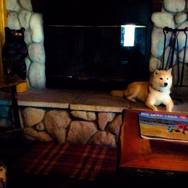 足球评述节目涌现 吸引新一代球迷关注，足球评论员经典段子